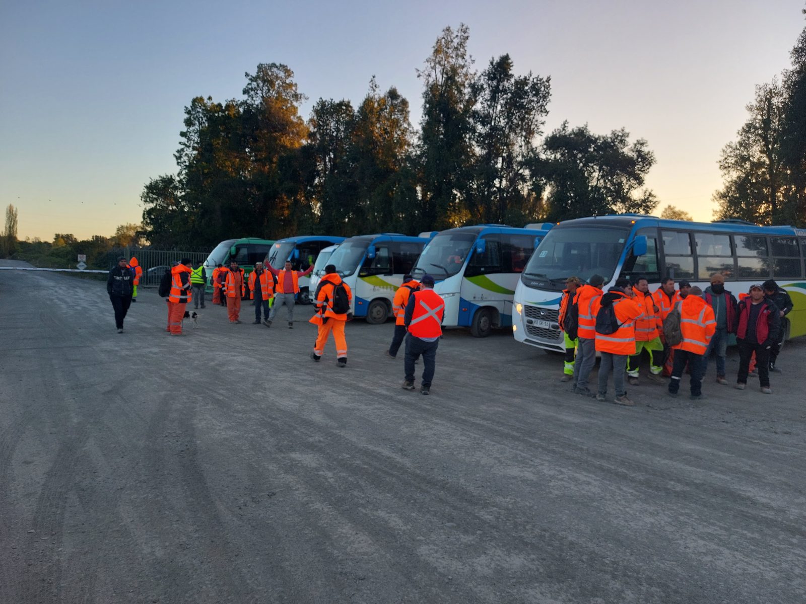 Flota de Transportes Moya trasladando personal al amanecer en faena